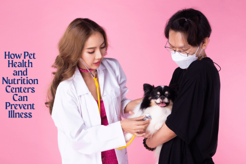 How Pet Health and Nutrition Centers Can Prevent Illness